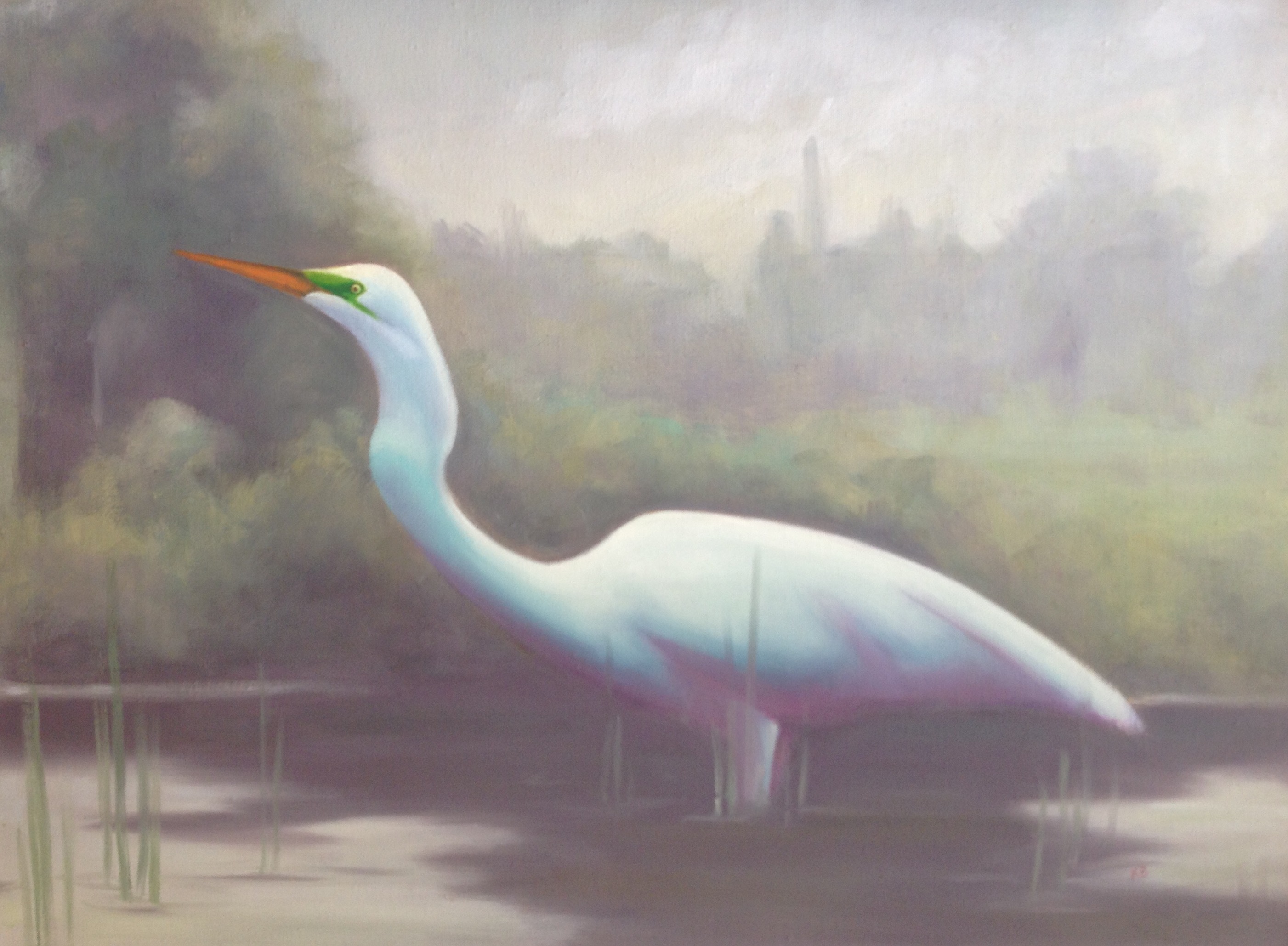 Great Egret - Plummage